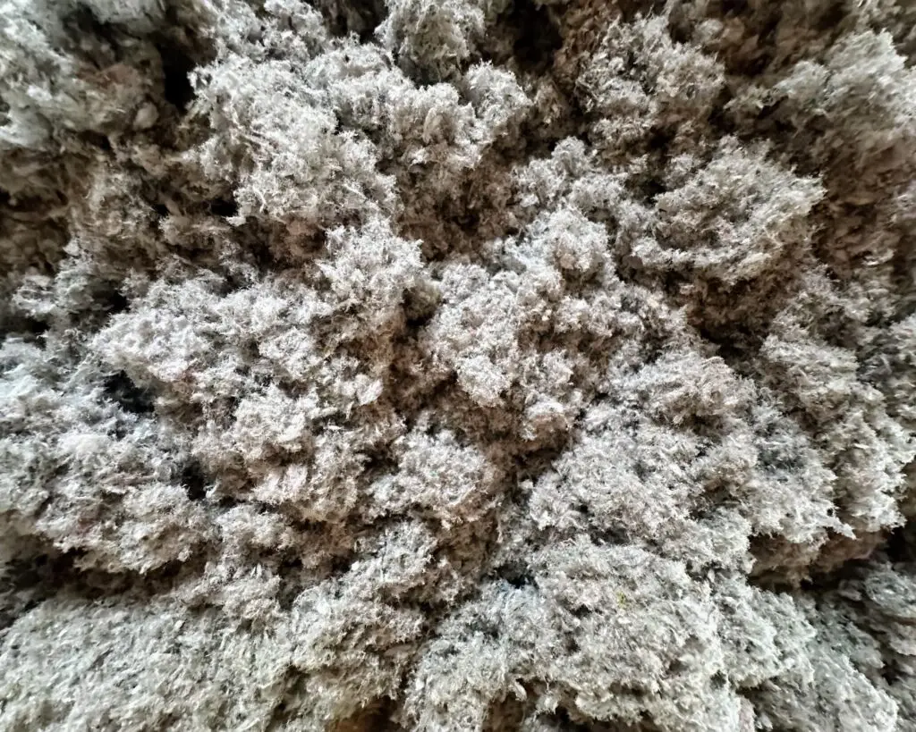 Cellulose isolation Wallonie